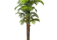 Artificial Kentia palm tree