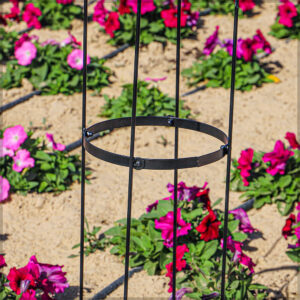 Garden Trellis for Supporting Climbing Plants - Image 2
