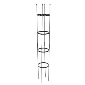 Garden Trellis for Supporting Climbing Plants - Image 6