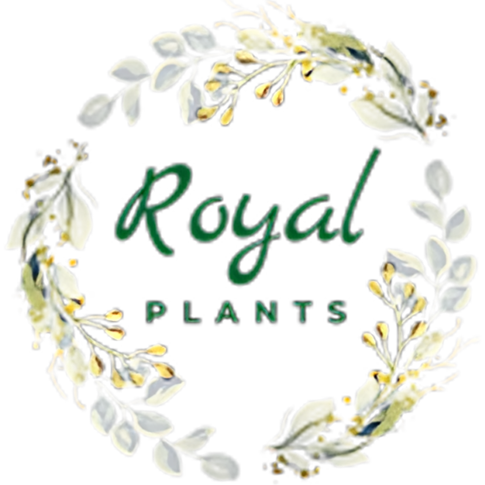 Royal Plants & Flowers-