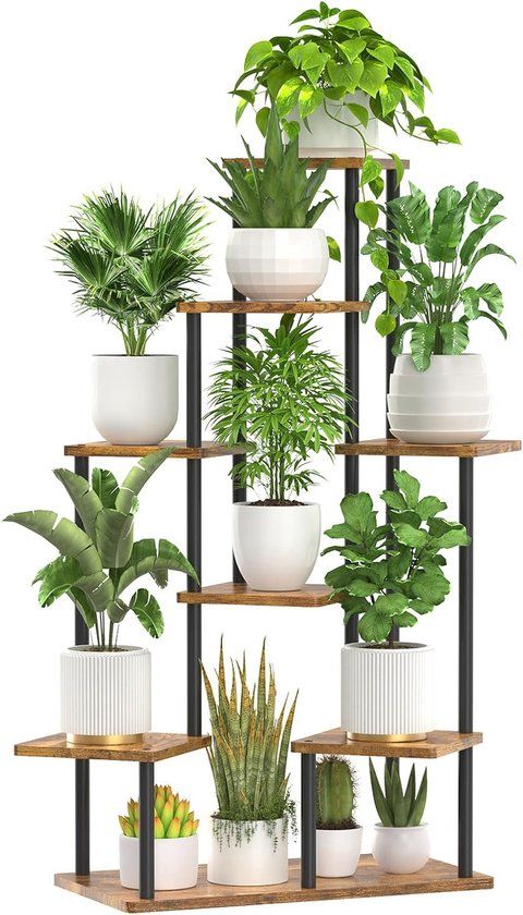 Ladder Plant Stand