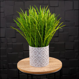 designed-gray-plastic-pot-med-decoration[1]