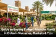 guide-to-buy-budget-friendly-plants-in-dubai