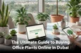 guide-to-buying-office-plants-in-Dubai